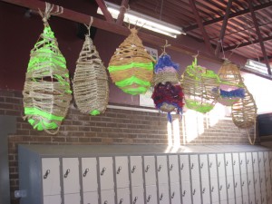 2015 Coolmine 1cocoons