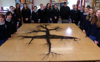 St. Mary’s Secondary School, Mallow, Co. Cork