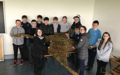 Glenamaddy Community School, Co. Galway